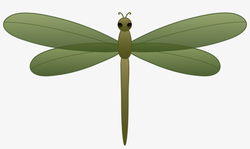 Dragonfly Clipart Watercolor - Green Dragonfly Clipart, transparent png download