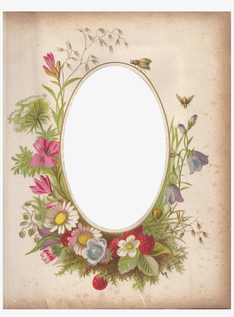 Zibi Vintage Scrap, transparent png download