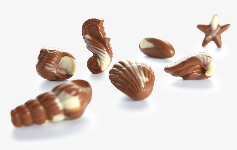 130g - 130g - 130g - Praline Fruit De Mer, transparent png download