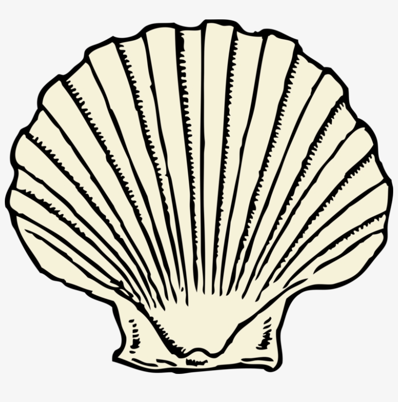 Outline, No Color - Shell Clip Art, transparent png download