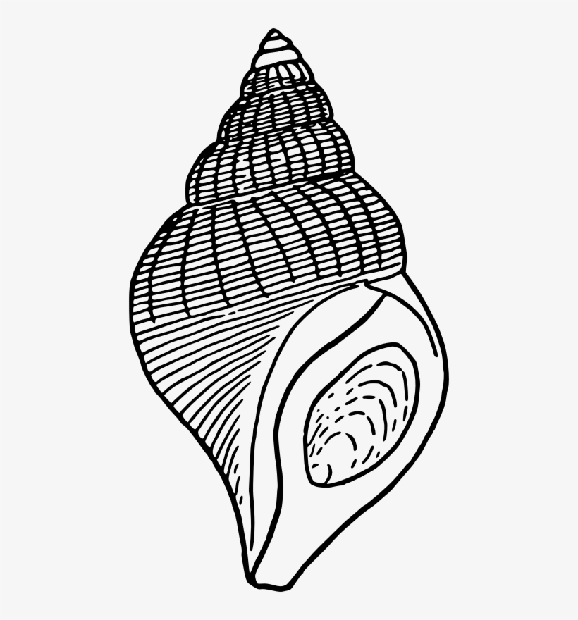 Medium Image - Art Institute Of Chicago, transparent png download