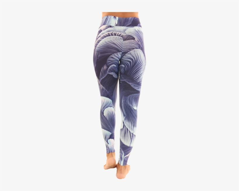 Leggings, transparent png download