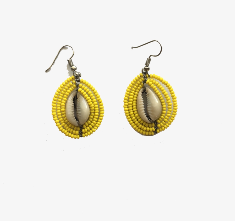 Seashells - Earrings, transparent png download