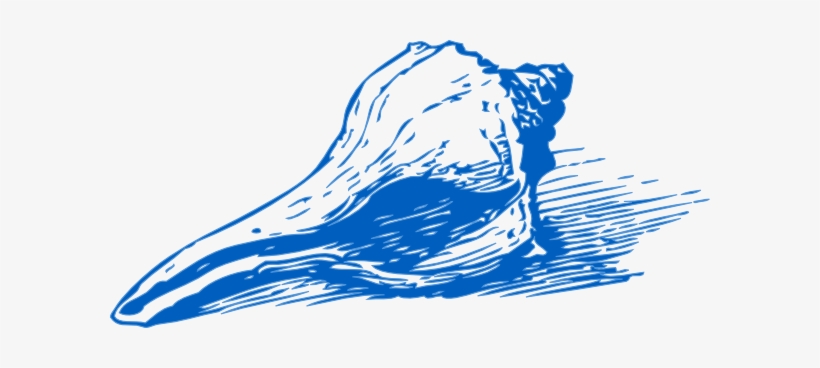 How To Set Use Blue Sea Shell Svg Vector, transparent png download