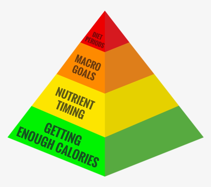 Good Sports Nutrition Nutrition Designed To Increase - Importance Of Sports Nutrition, transparent png download