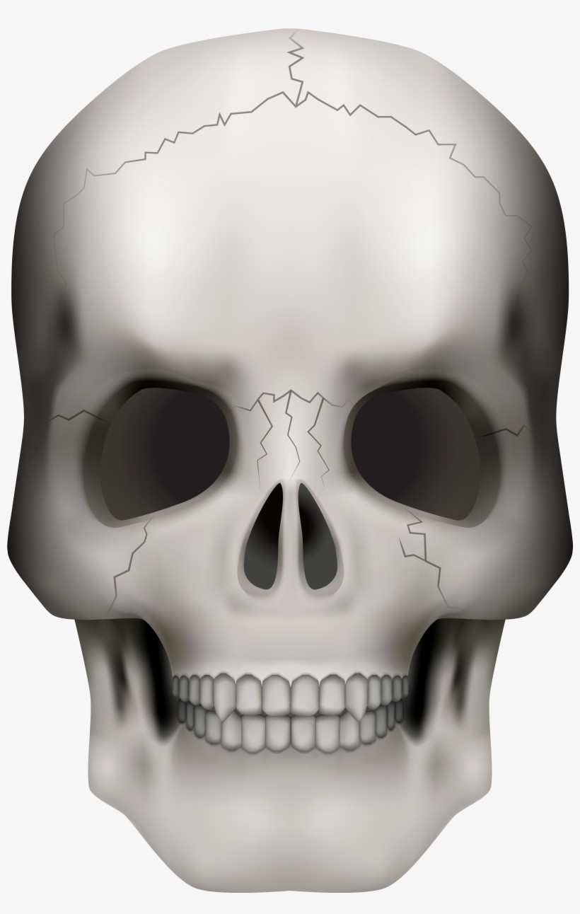 Transparent Transparent Background Skull Png, transparent png download