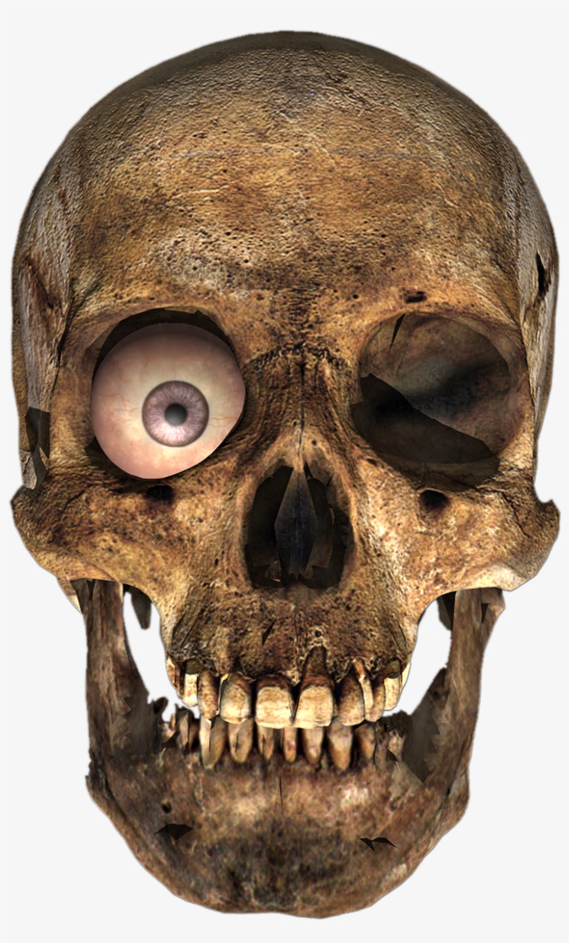 Transparent Skull Png, transparent png download