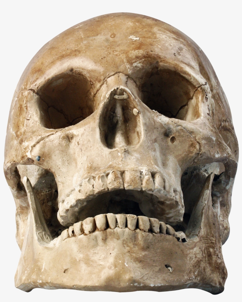 Skull Png Laugh Skeleton - Png Skull, transparent png download