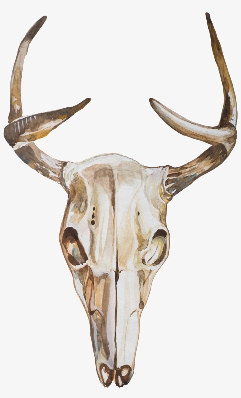 Ethnic Element Animal Skull Transparent - Portable Network Graphics, transparent png download
