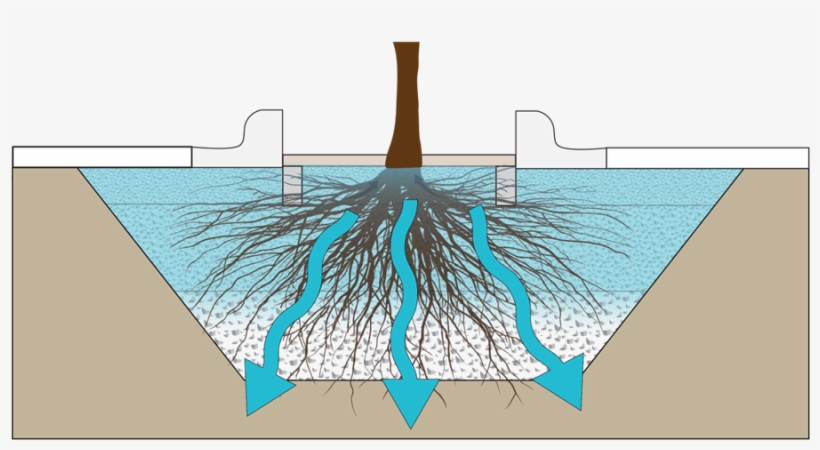 Tree Trench Icon - Tree Trench, transparent png download