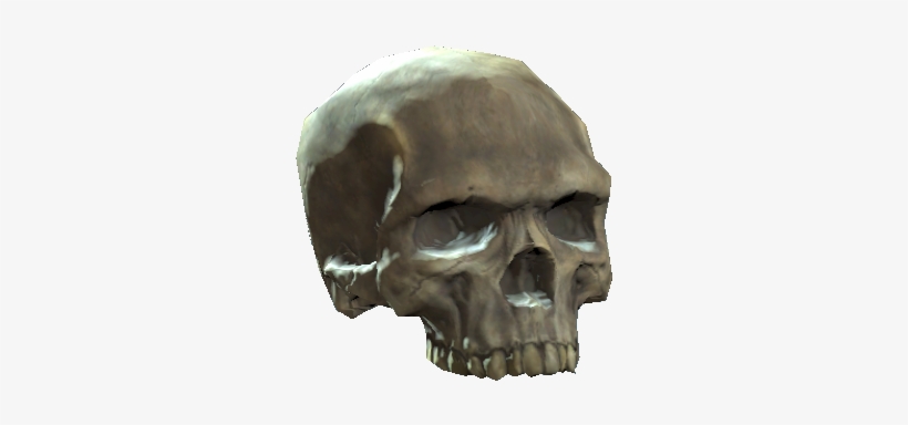 Upper Skull - Skull, transparent png download