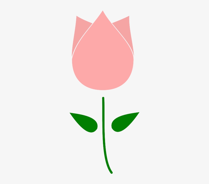 Tulip Flower Clip Art, transparent png download