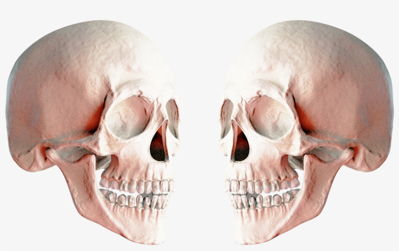 Skull Png Transparent Image - Transparent Skull Png Two Guns, transparent png download