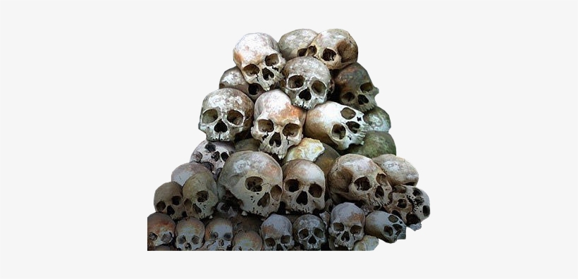 Awaken To The New World Order, transparent png download