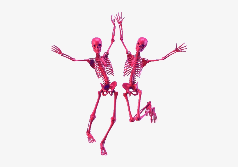 Pink Skull Png Transparent - Skeleton, transparent png download