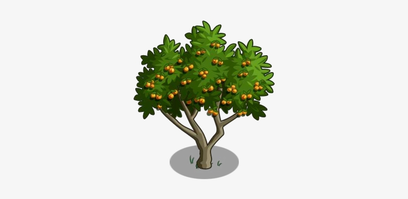Apricot Tree 100-icon - Christmas Tree, transparent png download