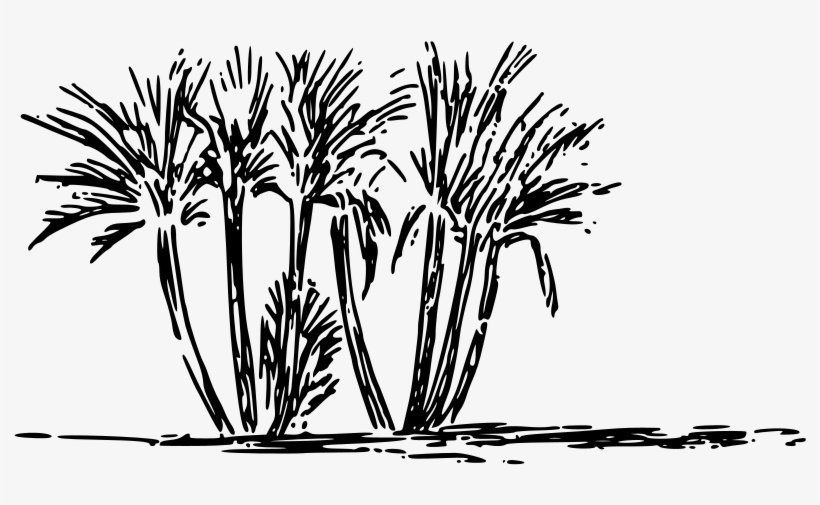 Tree Clump Clipart Icon Png - Transparent Clipart White And Black Grass, transparent png download