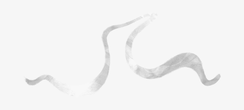 View Product - Headband, transparent png download