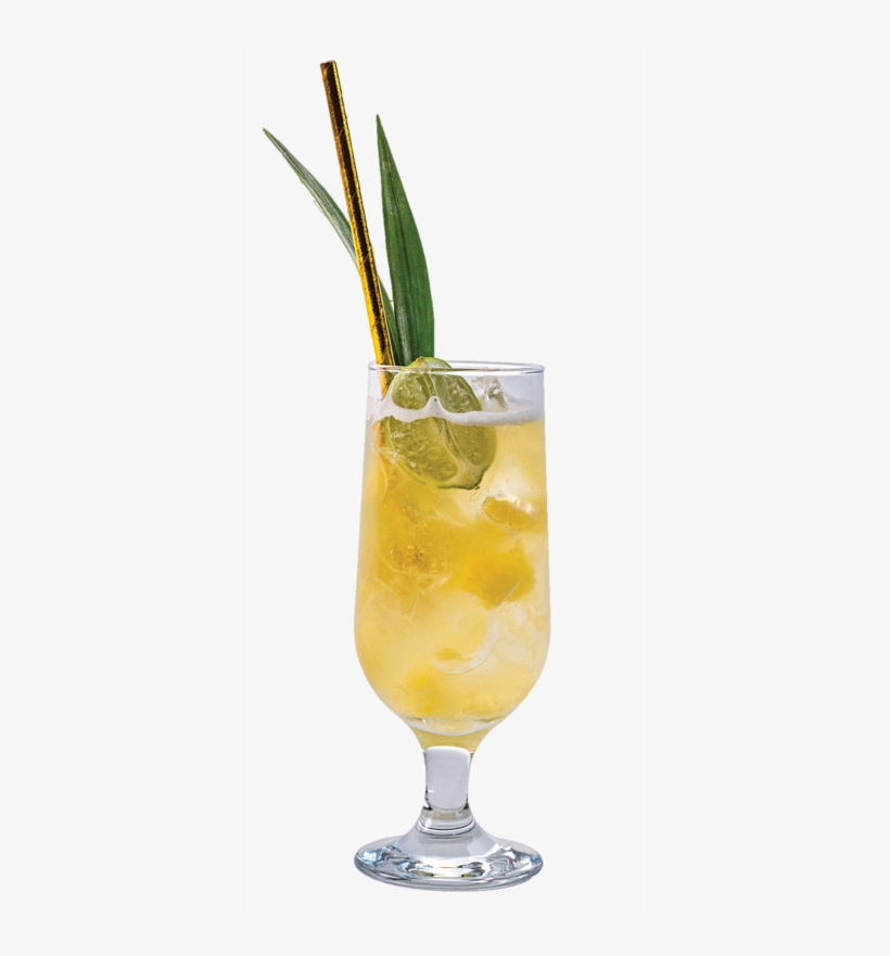 Vantage Tropical - Highball, transparent png download