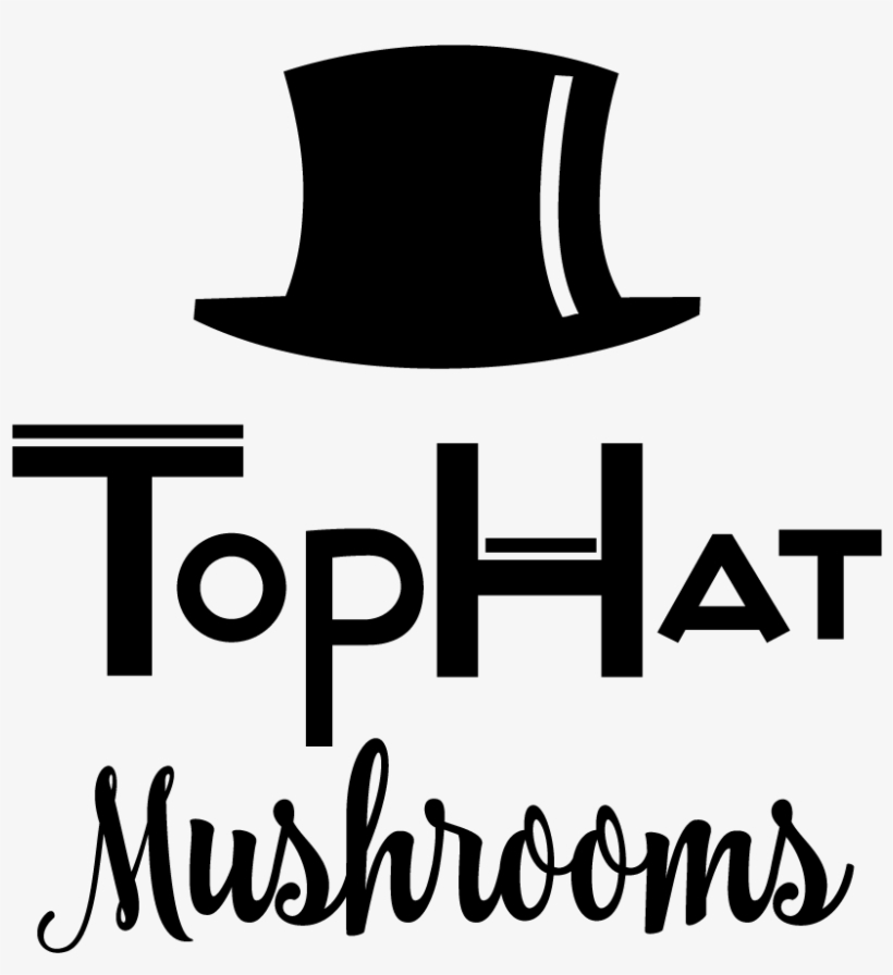 Previous - Next - Organic, transparent png download