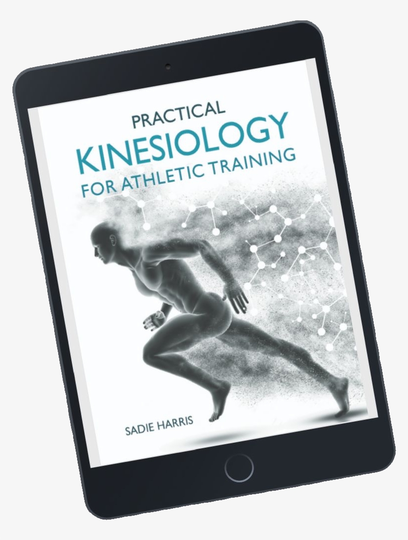 Top Hat - Manatee, transparent png download