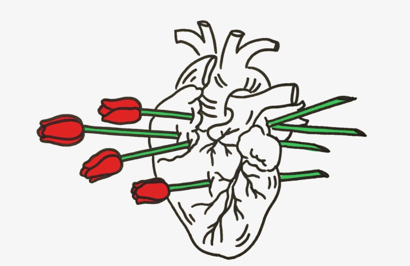 Heart Roses Doodle Tumblr Cute Freetoedit - Dessin Coeur, transparent png download