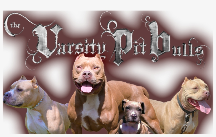 Atlanta, transparent png download