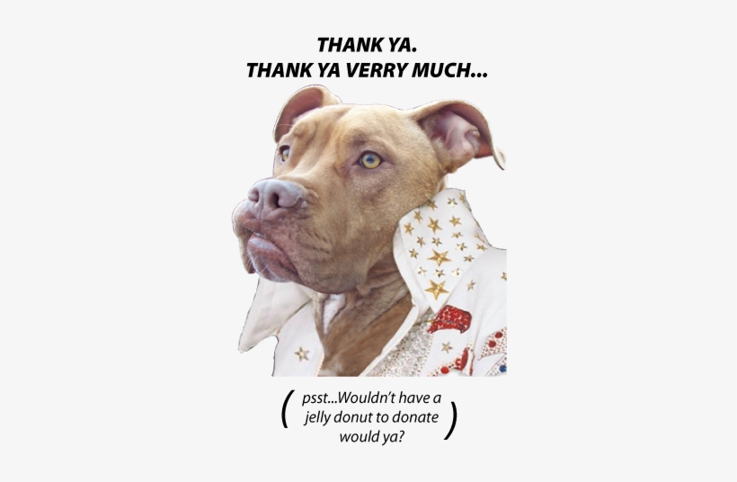 Rocky-elvis - Sleeve, transparent png download