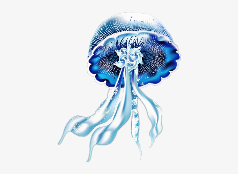 Jellyfish, transparent png download