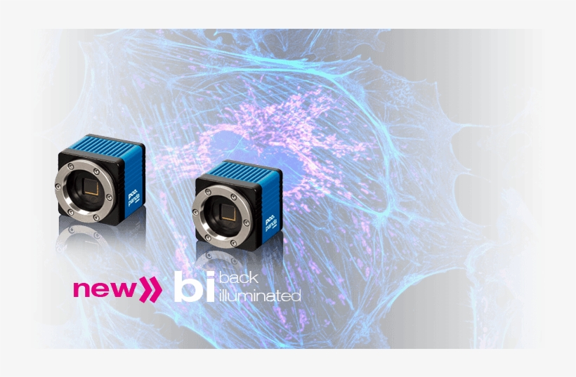 Header For New Pco - Digital Camera, transparent png download