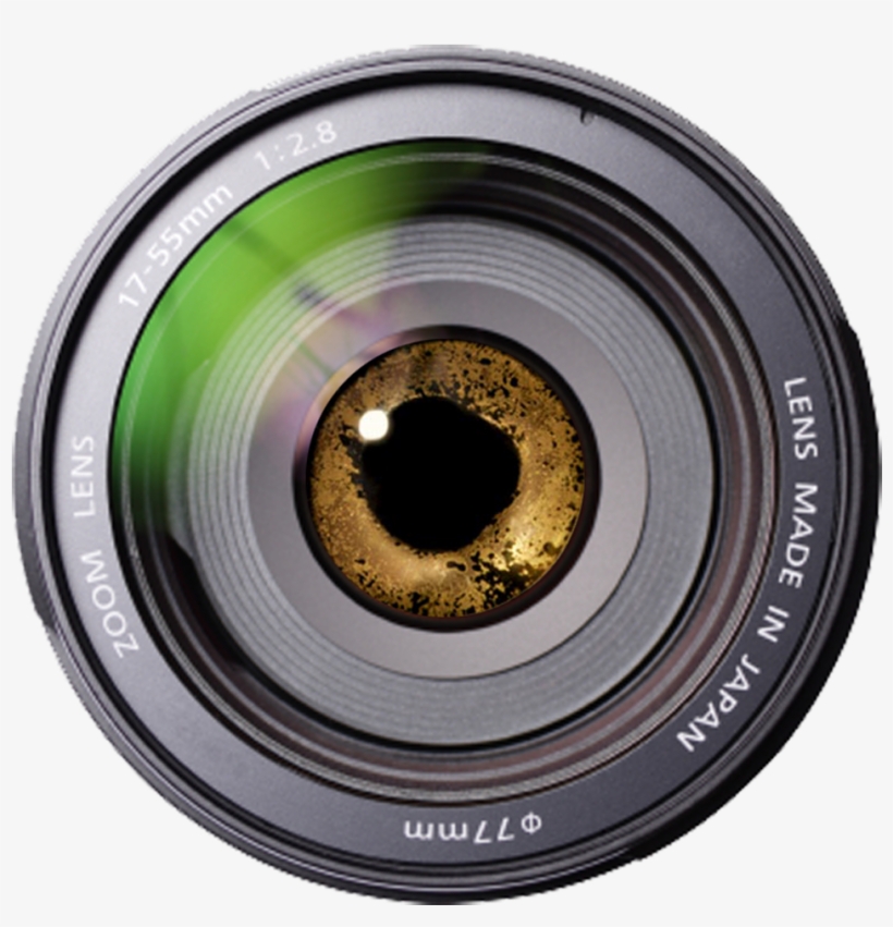 Crp Visuals - Lens Front, transparent png download