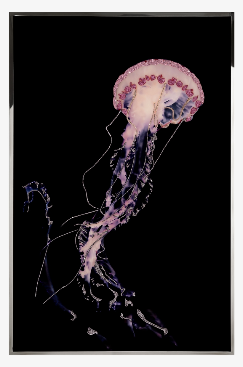 Interior Design, transparent png download