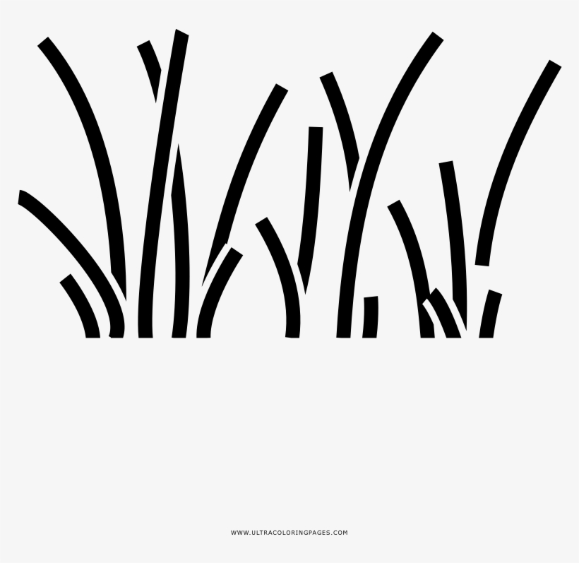 Dibujo De Hierba Recta Para Colorear - Drawing, transparent png download