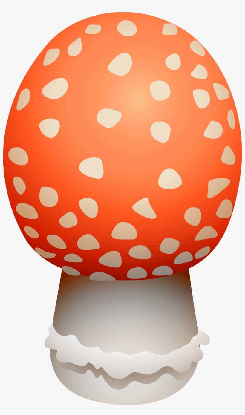 Amanita Muscaria Mushroom Png Clipart - Mushroom, transparent png download