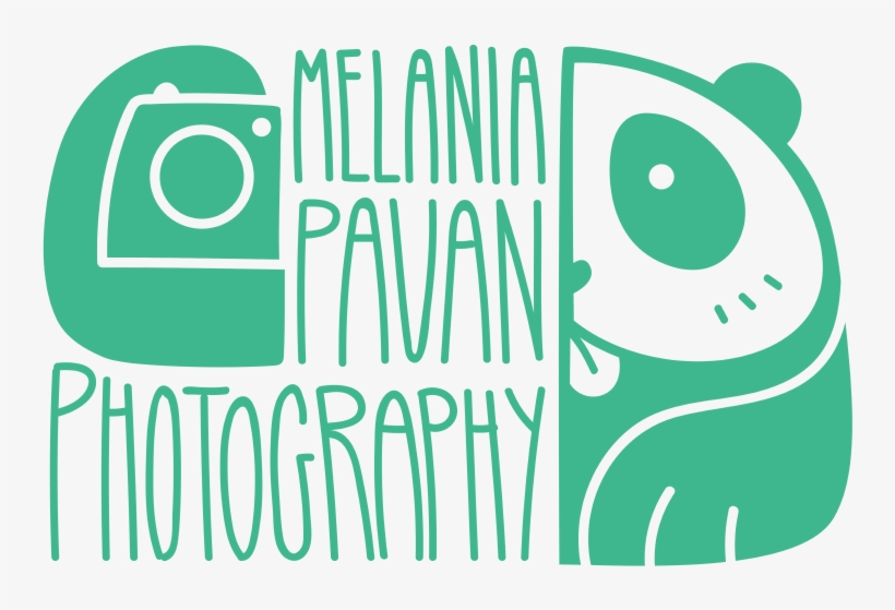 Logo, transparent png download