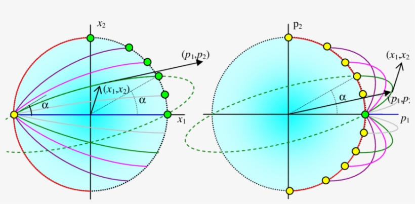 Phase-space Trajectories Of Rays With X 3 =p 3 =0 In - Circle, transparent png download