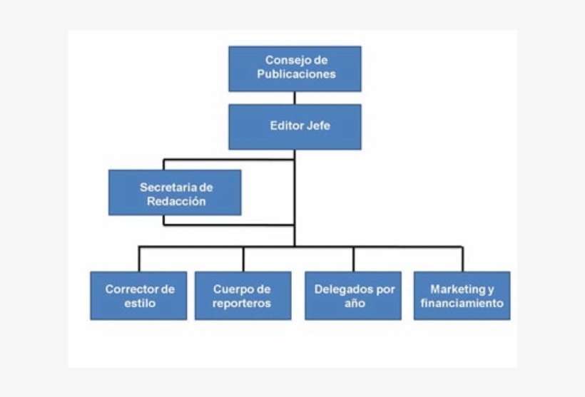 Organigrama Propuesto Para El Periódico Digital-laboratorio - Newspaper, transparent png download