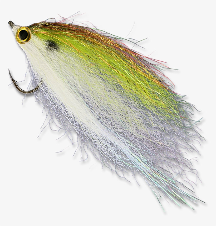 Flash N Slinky - Flash 'n Slinky, transparent png download