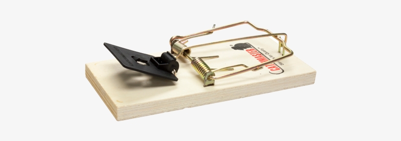 Mouse Traps - Davespestdefense Catchmaster Rat Wooden Snap Trap 610pe, transparent png download