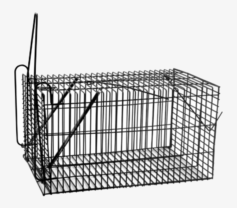 More Views - Mousetrap, transparent png download