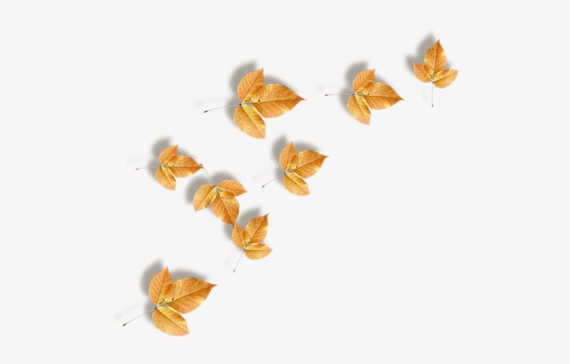 1 1esenni Lista - Autumn, transparent png download