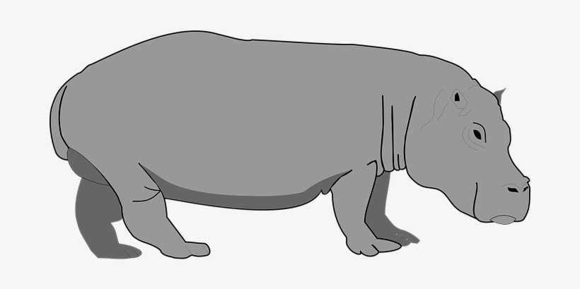 Hippo Clipart Transparent Background - Hippopotamus Clipart, transparent png download
