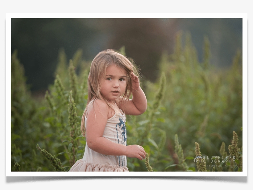 Blu Hippo Photography Archives - Pittsburgh, transparent png download