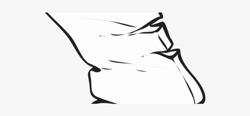 Scroll Vector Element G1k44jud L - Scroll, transparent png download