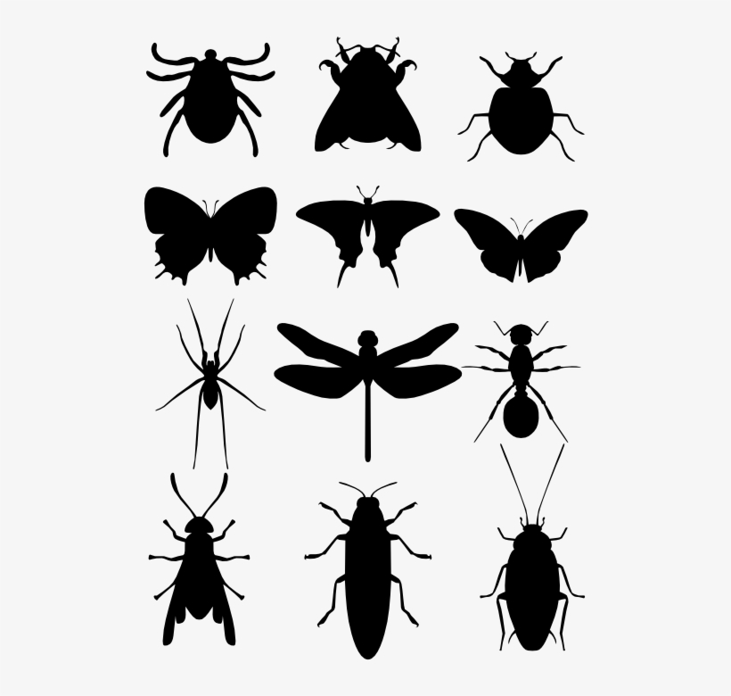Moscas, Mosquitos E Baratas - Silhouette Insecten, transparent png download