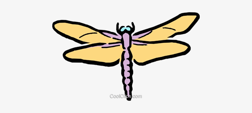 Moscas Dragón De Dibujos Animados Libres De Derechos - Illustration, transparent png download