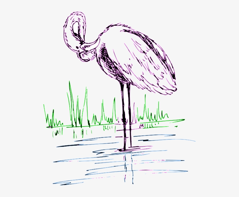 Flamingo, transparent png download