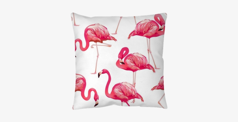 Tropical Bird Flamingo Background - Bird, transparent png download