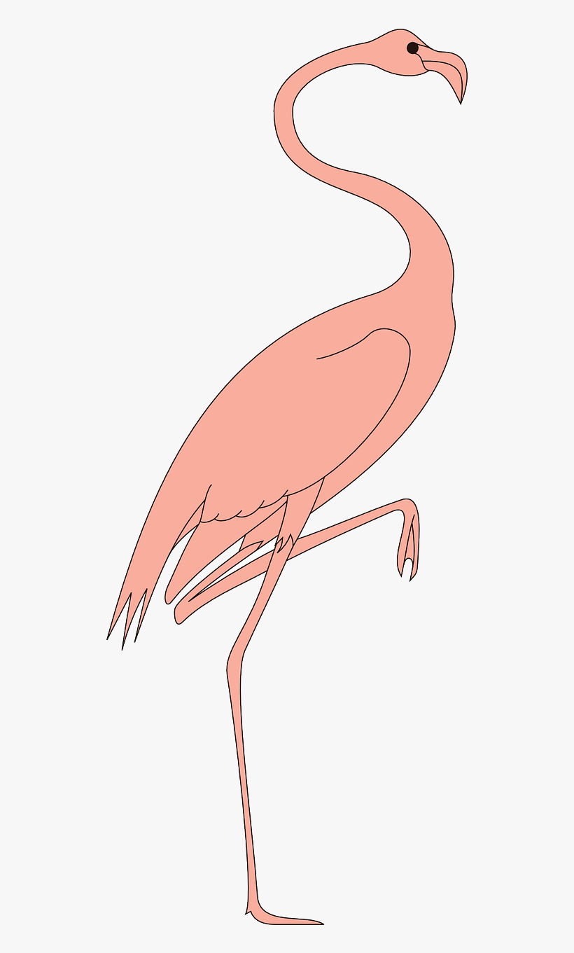 Fågel På Ett Ben, transparent png download