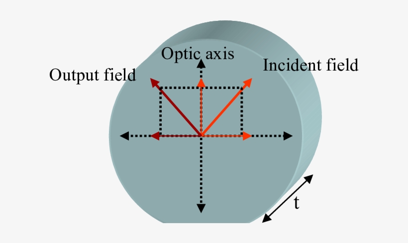 6 A Half Wave Plate Causes A Phase Shift Of Π Between - Euclidean Vector, transparent png download